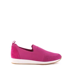 14005 Fuchsia