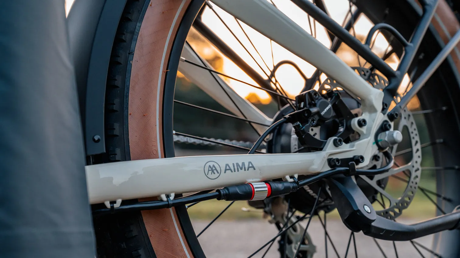 AIMA - Big Sur