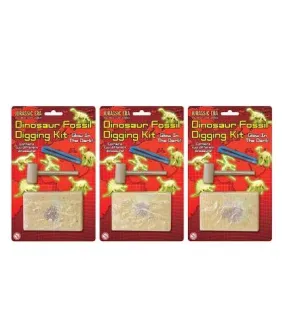 Dinosaur Fossil Digging Kit