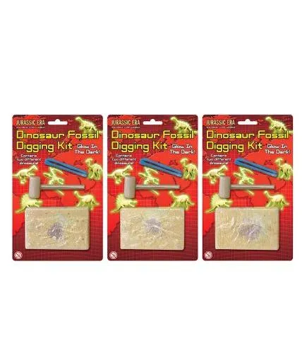Dinosaur Fossil Digging Kit