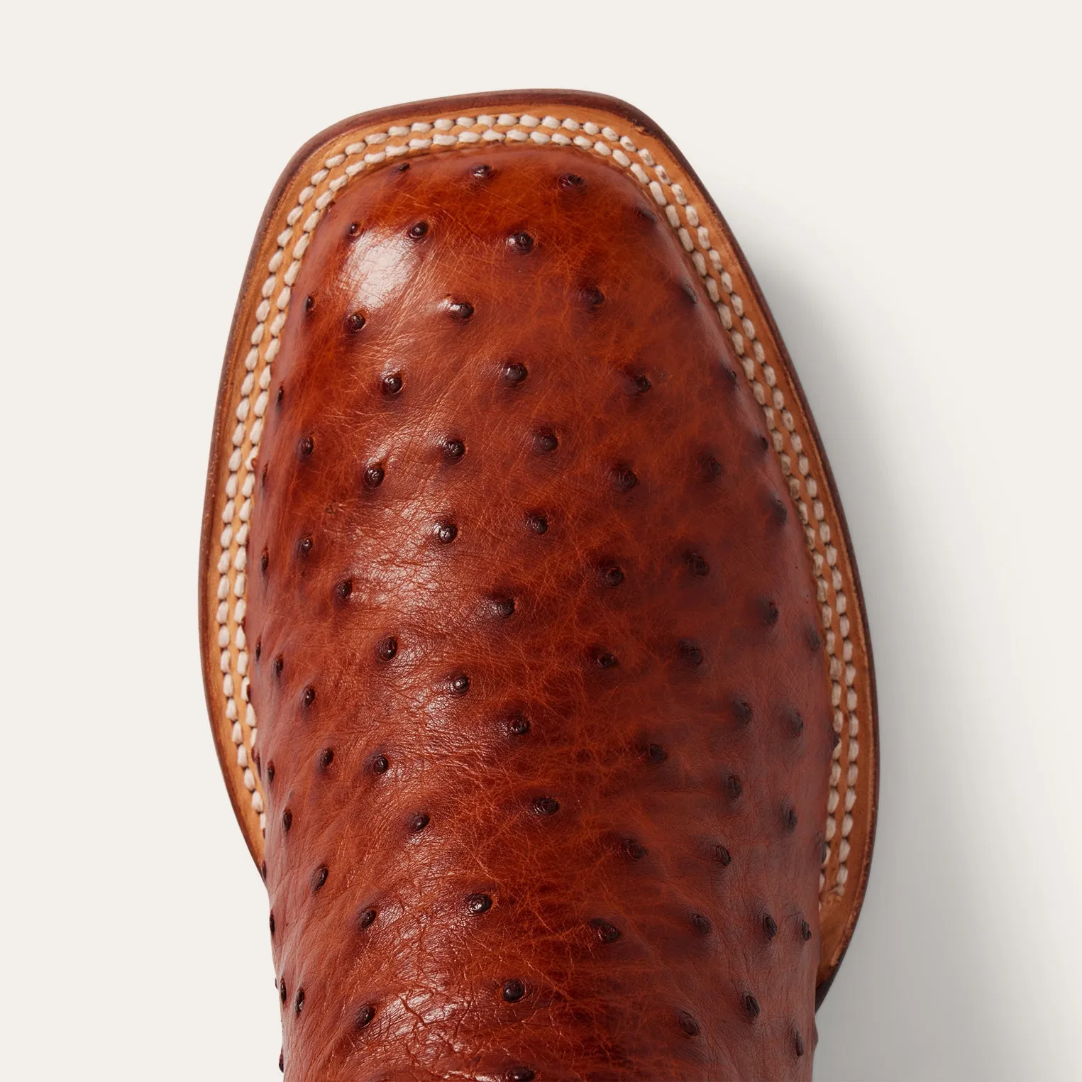 Ozzy Ostrich Boot