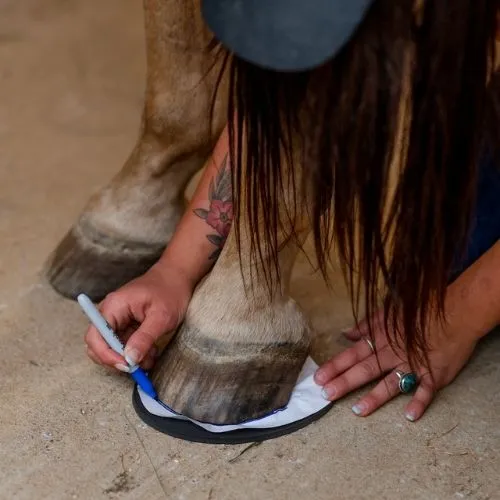 Thinline Hoof Pad - Pair