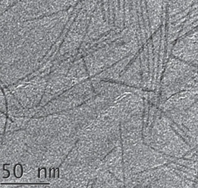 Tungsten Oxide Nanowires A2 (2nm×200nm)